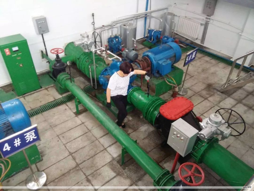 沼泽过滤水管堵塞的终极解决方案——网孔定植