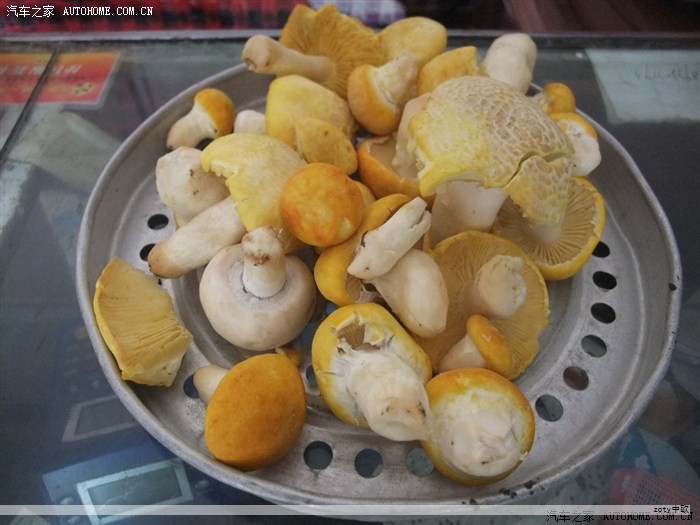 教学一：徐老师课前自己采集了三个典型的土壤