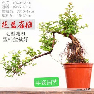 本专利提出一种用于注塑件的双工位视觉检测机构,旨在提升双工位的检测效率与成品率。系统以龙门支架固定检测传动模组,并设置用于带动传动模组位置调节的驱动机构,以及用于执行检测的视觉模组。检测传动模组包含两组相对布置的驱动单元,分别对应第一传动模组和第二传动模组;视觉模组分别安装在各自对应的传动模组上,形成第一视觉检测模组与第二视觉检测模组。通过调节第一传动模组来确定第一视觉模组的位置,并通过调节第二传动模组来确定第二视觉模组的位置,从而对第一工位与第二工位上的注塑件进行独立检测。该设计提高了检测速度与成品率,具有良好的实用性与推广价值。专利公开号为 CN223139415U。 本专利提出一种用于注塑件的双工位视觉检测机构,旨在提升双工位的检测效率与成品率。系统以龙门支架固定检测传动模组,并设置用于带动传动模组位置调节的驱动机构,以及用于执行检测的视觉模组。检测传动模组包含两组相对布置的驱动单元,分别对应第一传动模组和第二传动模组;视觉模组分别安装在各自对应的传动模组上,形成第一视觉检测模组与第二视觉检测模组。通过调节第一传动模组来确定第一视觉模组的位置,并通过调节第二传动模组来确定第二视觉模组的位置,从而对第一工位与第二工位上的注塑件进行独立检测。该设计提高了检测速度与成品率,具有良好的实用性与推广价值。专利公开号为 CN223139415U。