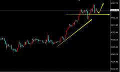 但还是不能盲目的追多