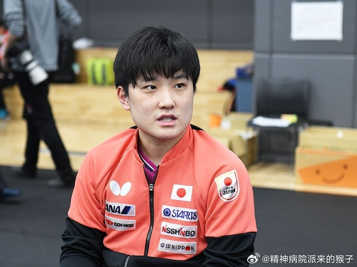 日本男乒5将迎战国乒主力 张本智和松岛辉空能否